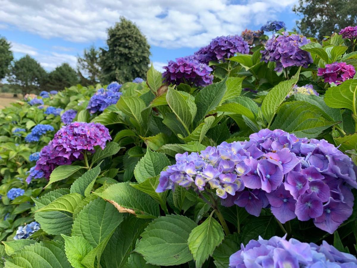 Domaine Des Trois Rivieres Сasa de vacaciones